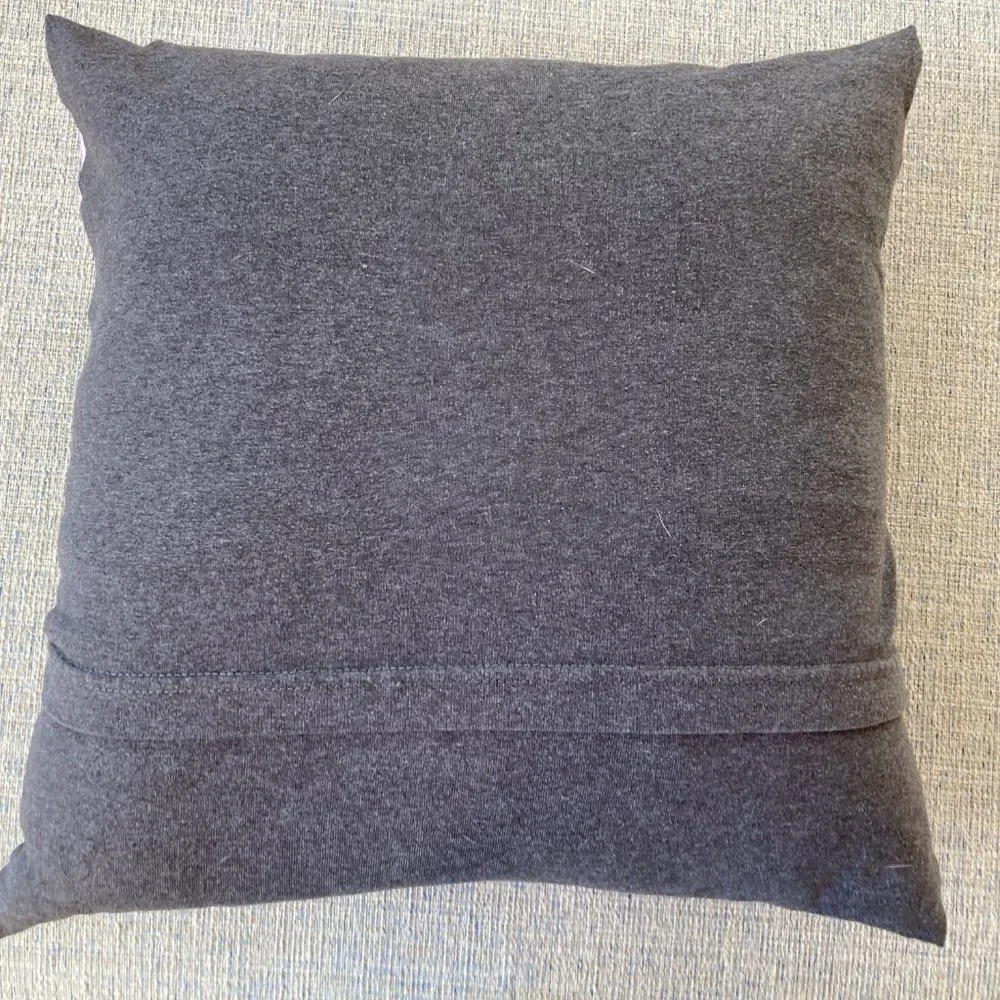 Bradley University Braves Handmade upcycled t-shirt 16 x 16 throw pillow cover